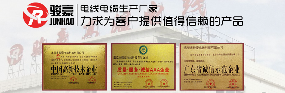 1-1P411113K0431 J9九游会首页荣誉证书展示
